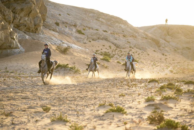 Highlights (41 of 231)_resized.jpg